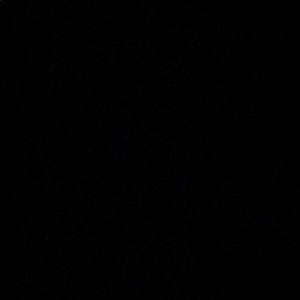 Meet your Posher, Lucy